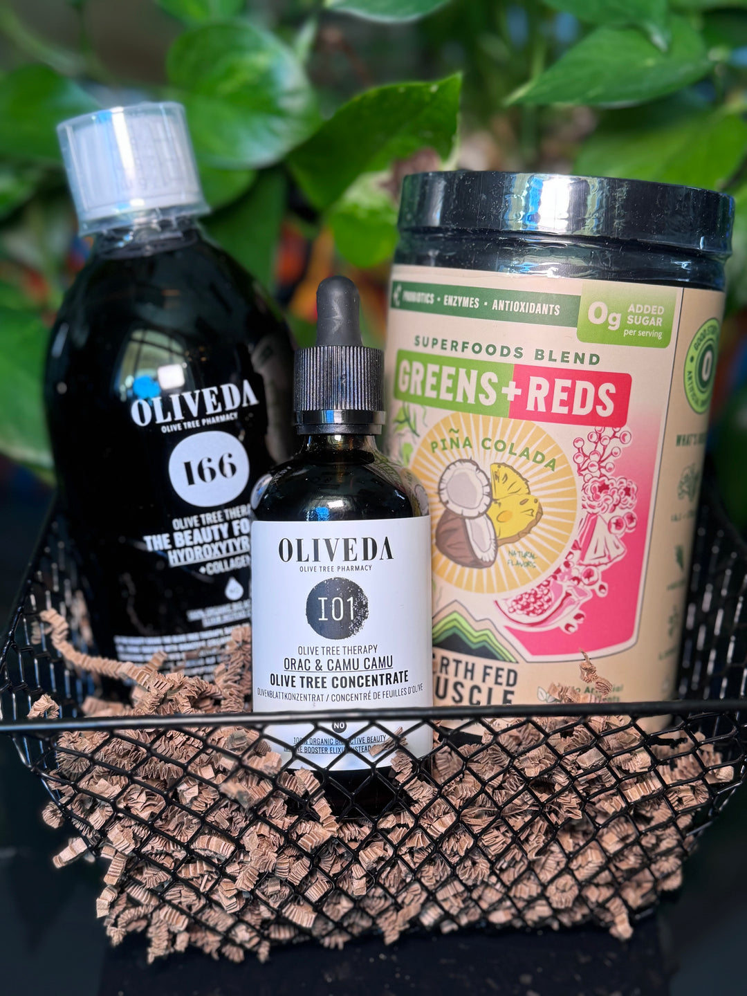 Immune Defense Bundle